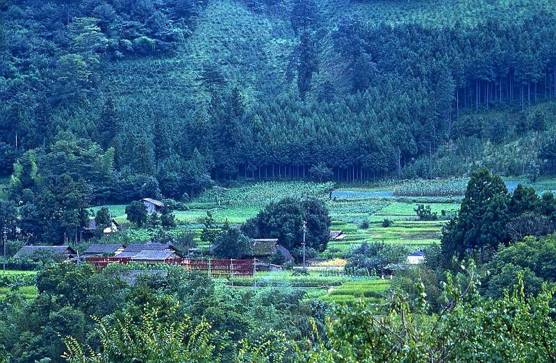 1952 Japan 057 Dyed Silk Skeins Drying.jpg